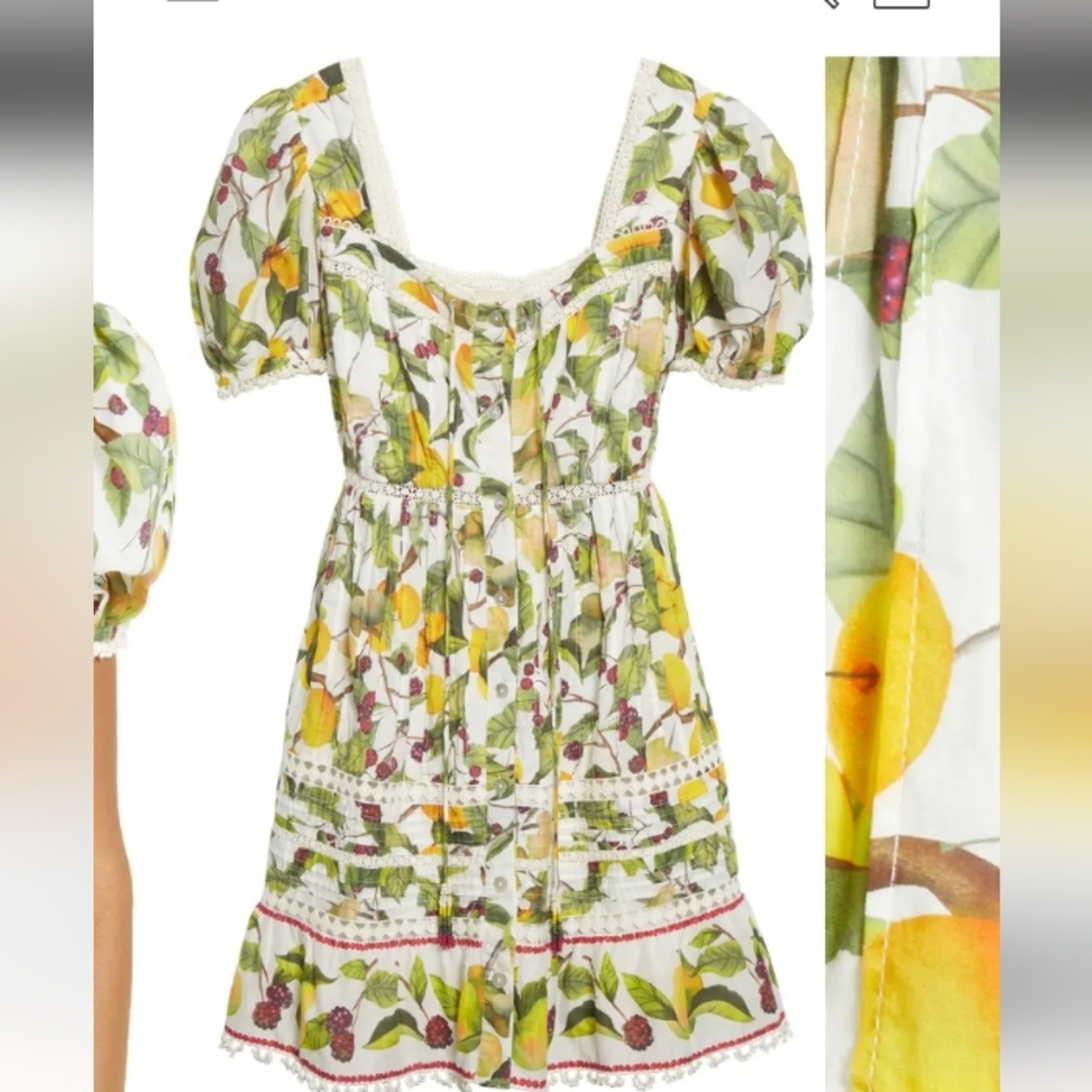 Farm Rio Floral Dress